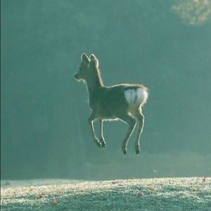 Meet your Posher, Xi